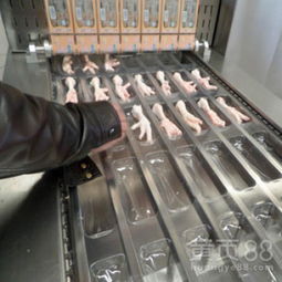 食品包裝新篇章 揭秘全自動真空包裝機與諸城神州機械的行業貢獻