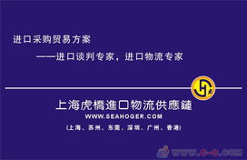 專業(yè)護(hù)航，高效通關(guān) 上海進(jìn)口報(bào)關(guān)代理服務(wù)全解析